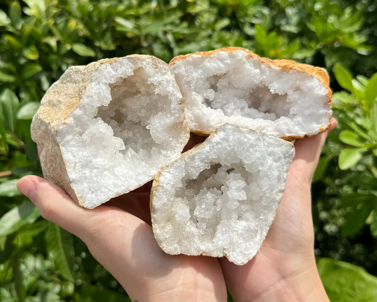 MASSIVE Sugar Quartz Geodes – Natural Crystal Geode Specimens From Morocco