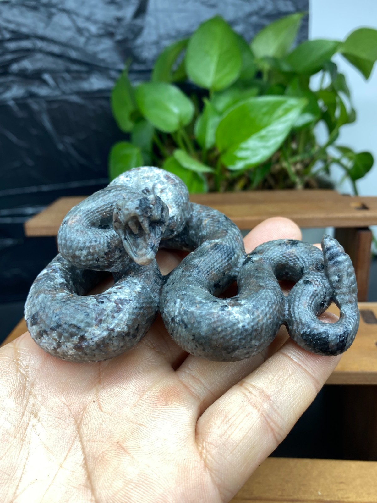 3.7” Natural Yooperlite Quartz Crystal Carved Snake skull reiki healin gift 1pc
