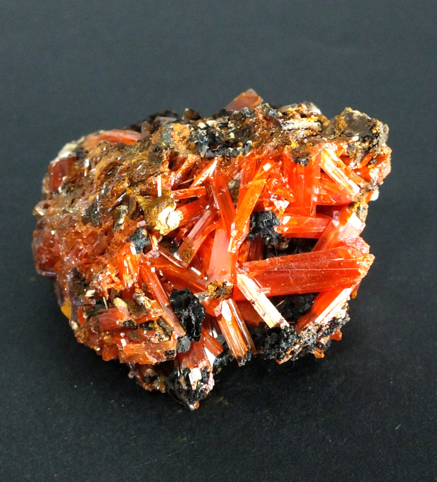 Crocoite Crystals. Adelaide Mine Dundas. Tasmania Australia (EA12014)