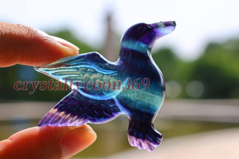 2″ Carved Natural Fluorite Humming Bird Reiki Crystal Skull Decor Crystal Gift