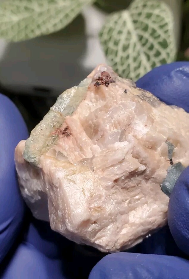 Aquamarine in Feldspar Crystal Specimen 40 grams