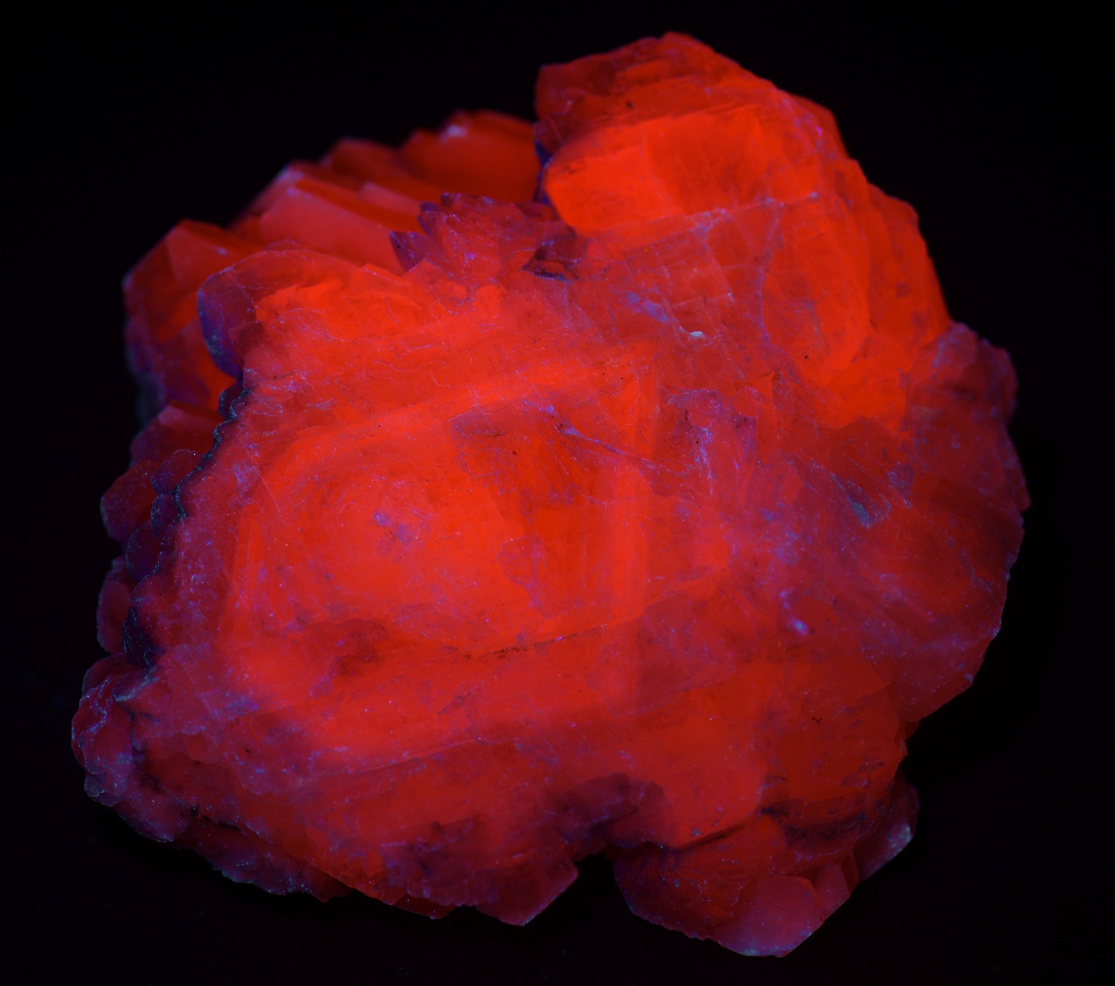 Poker-chip Calcite, excellent specimen, fluorescent. Charcas, Mexico. 217 grams.