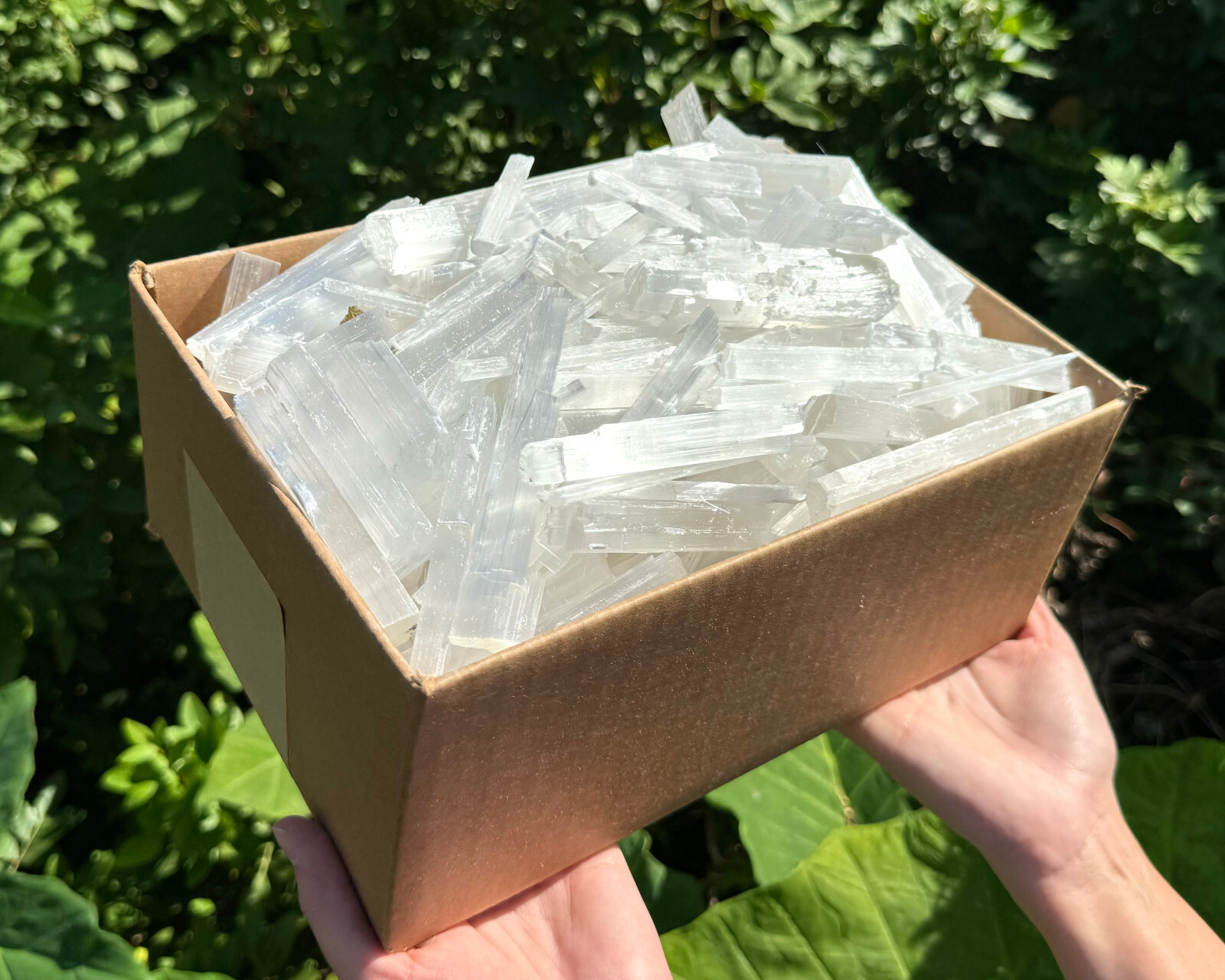 Selenite CLEARANCE Boxes – 20 lb of CRAZY CHEAP Mixed Size Crystals