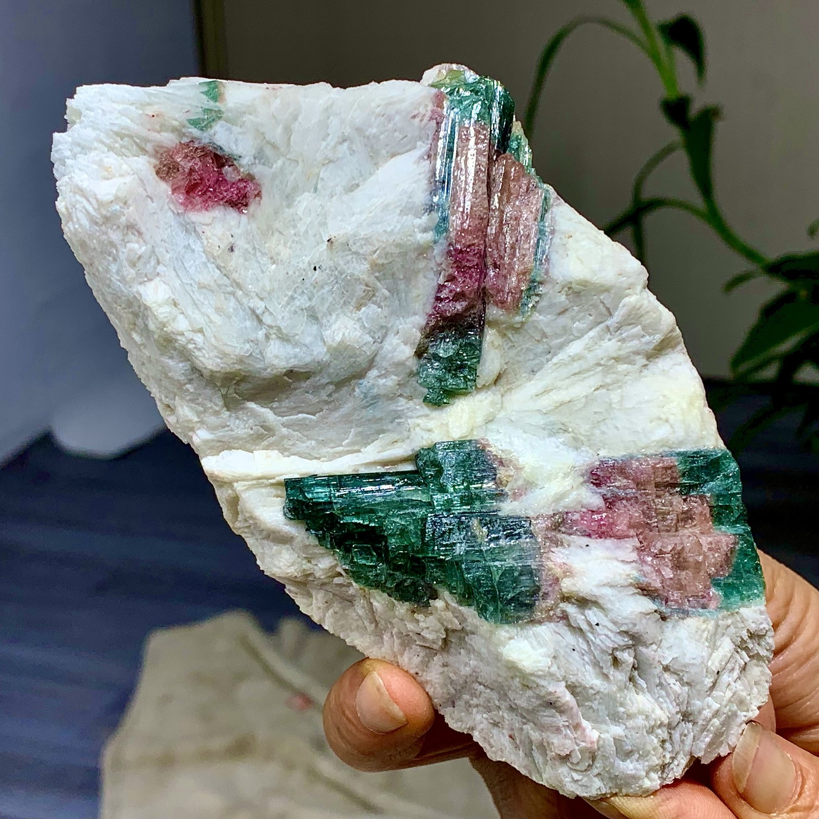 449G Natural pink-green tourmaline quartz crystal cluster mineral specimen