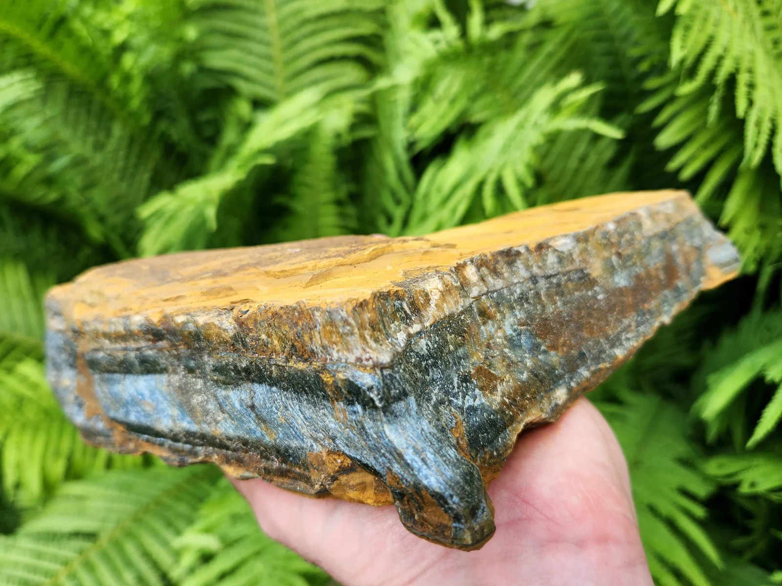 5 lb 11 oz Rough Blue Tiger’s Eye Stone. Ideal for Lapidary. Luminescent