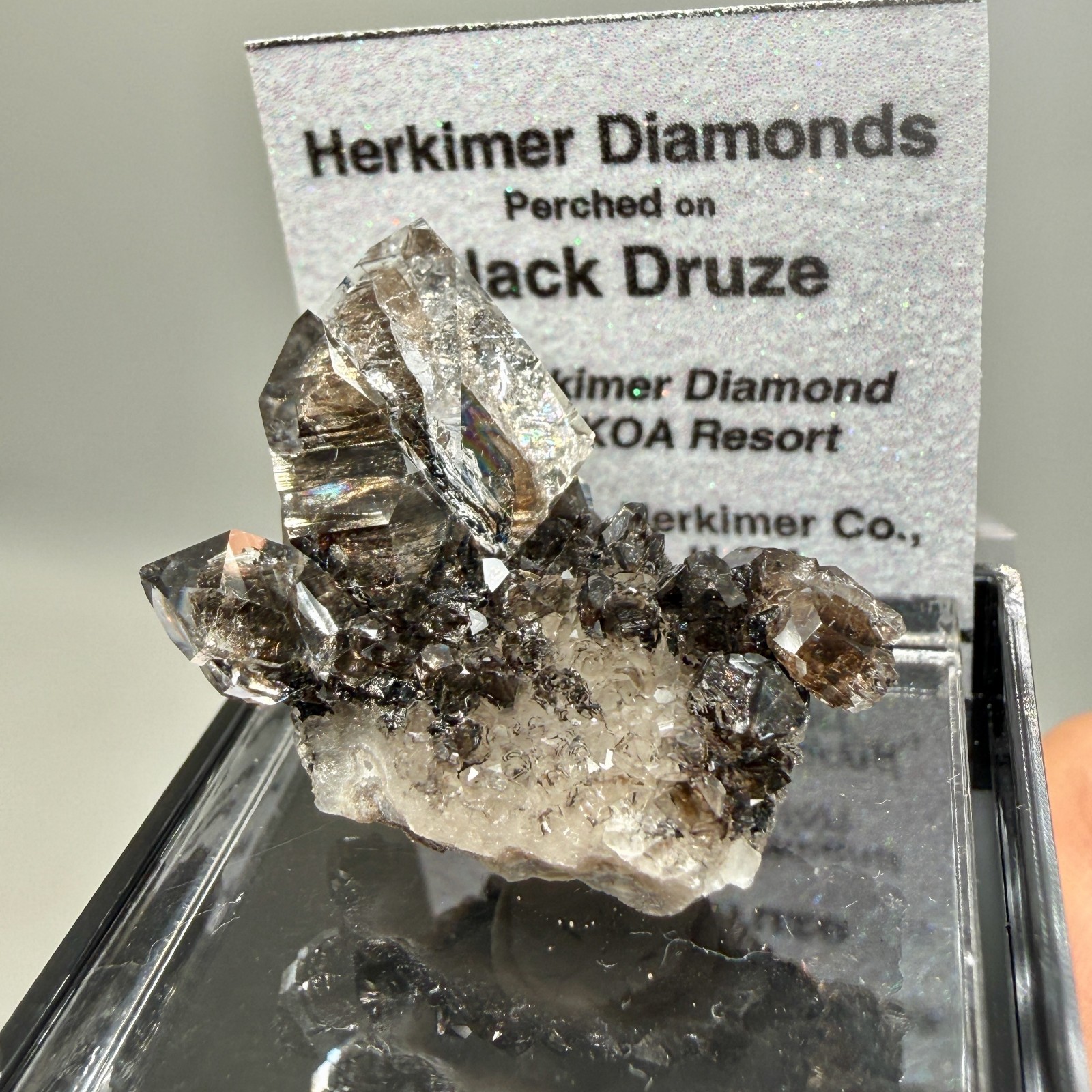 Herkimer Diamond Perchers on Rare Black+Gray Druze, Gem Points w/ Phantoms