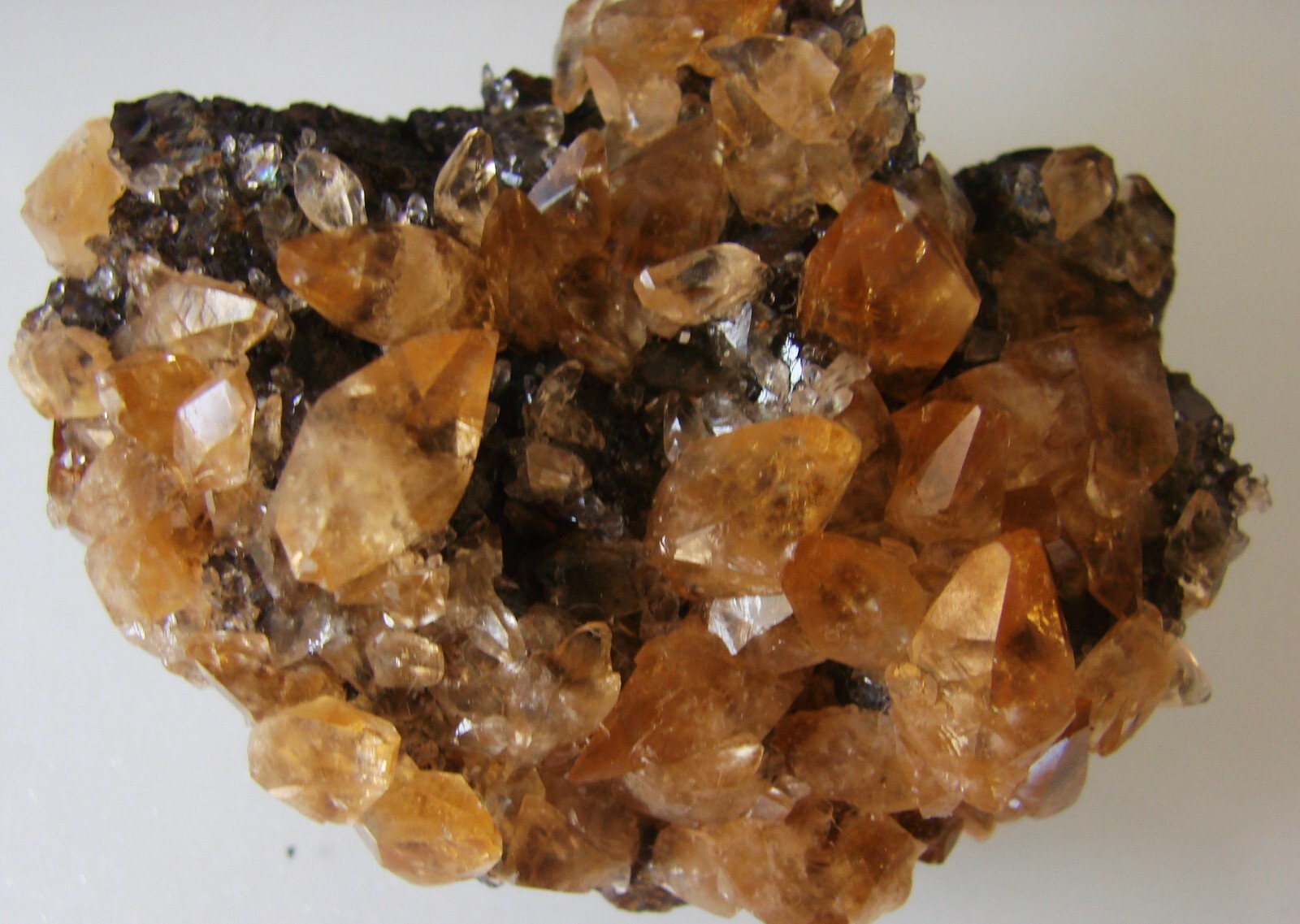 GOLDEN CALCITE ON SPHALERITE, Cumberland Mine, Carthage, Tennessee USA