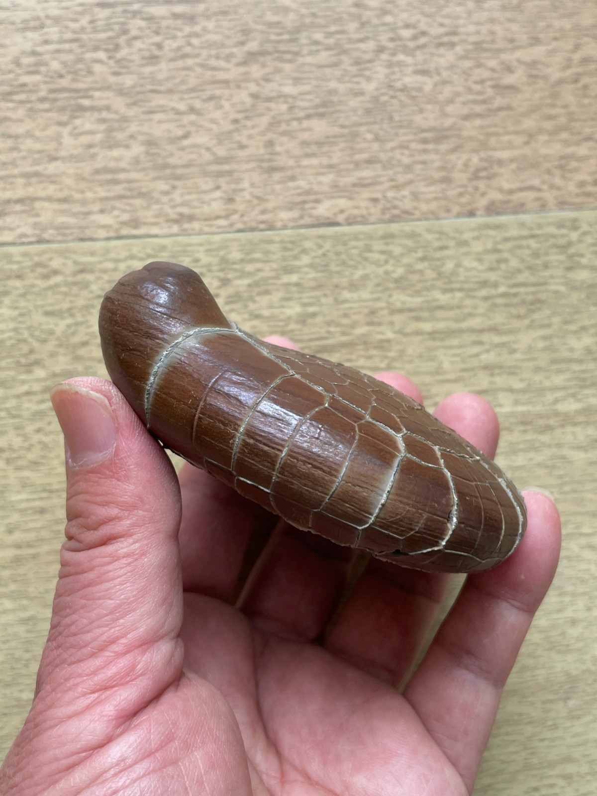 412g beautiful Natural tortoise back pattern stone Moire stone Landscape stone