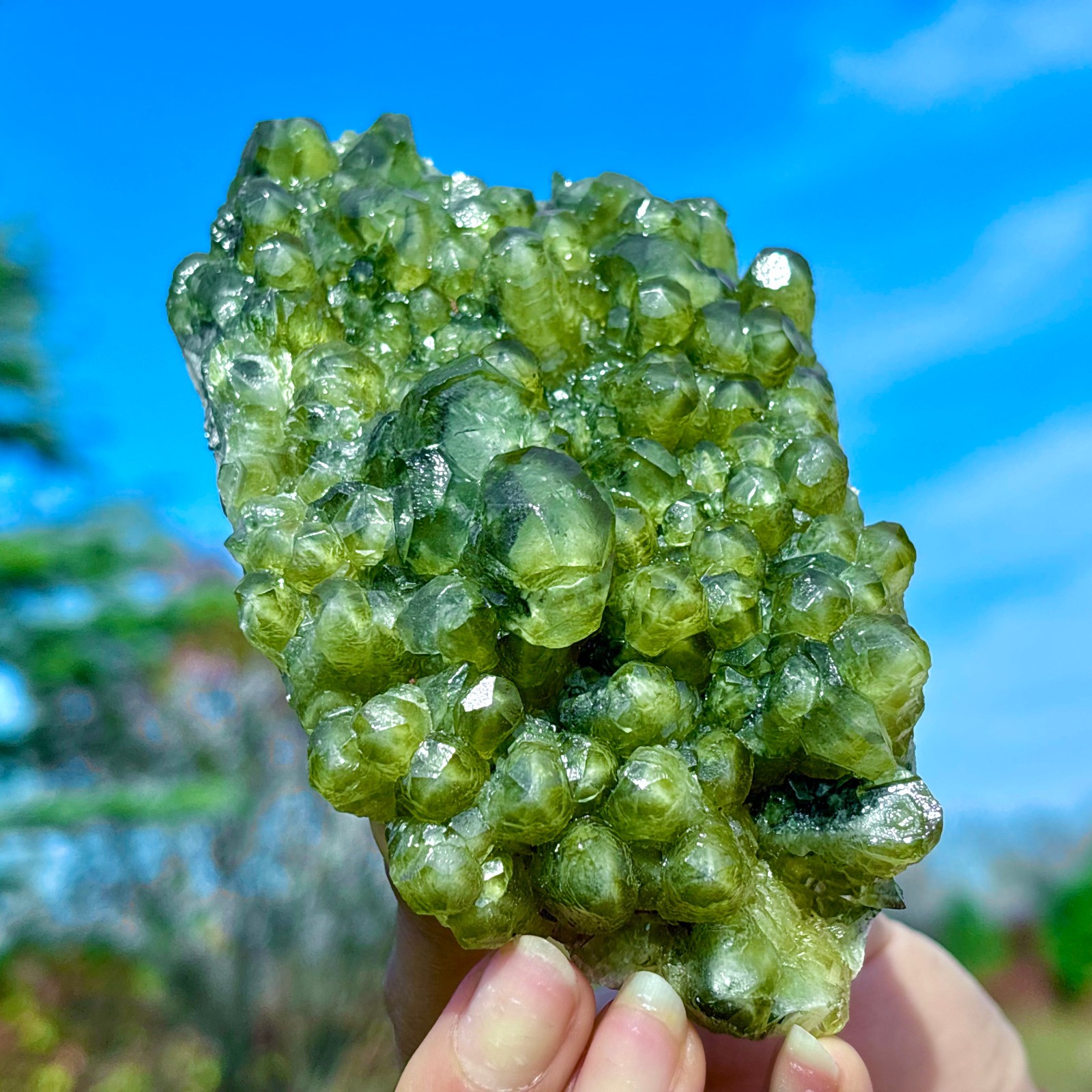 405G Natural Spherical Prehnite Crystal Gem Mineral Specimen&Crystallization
