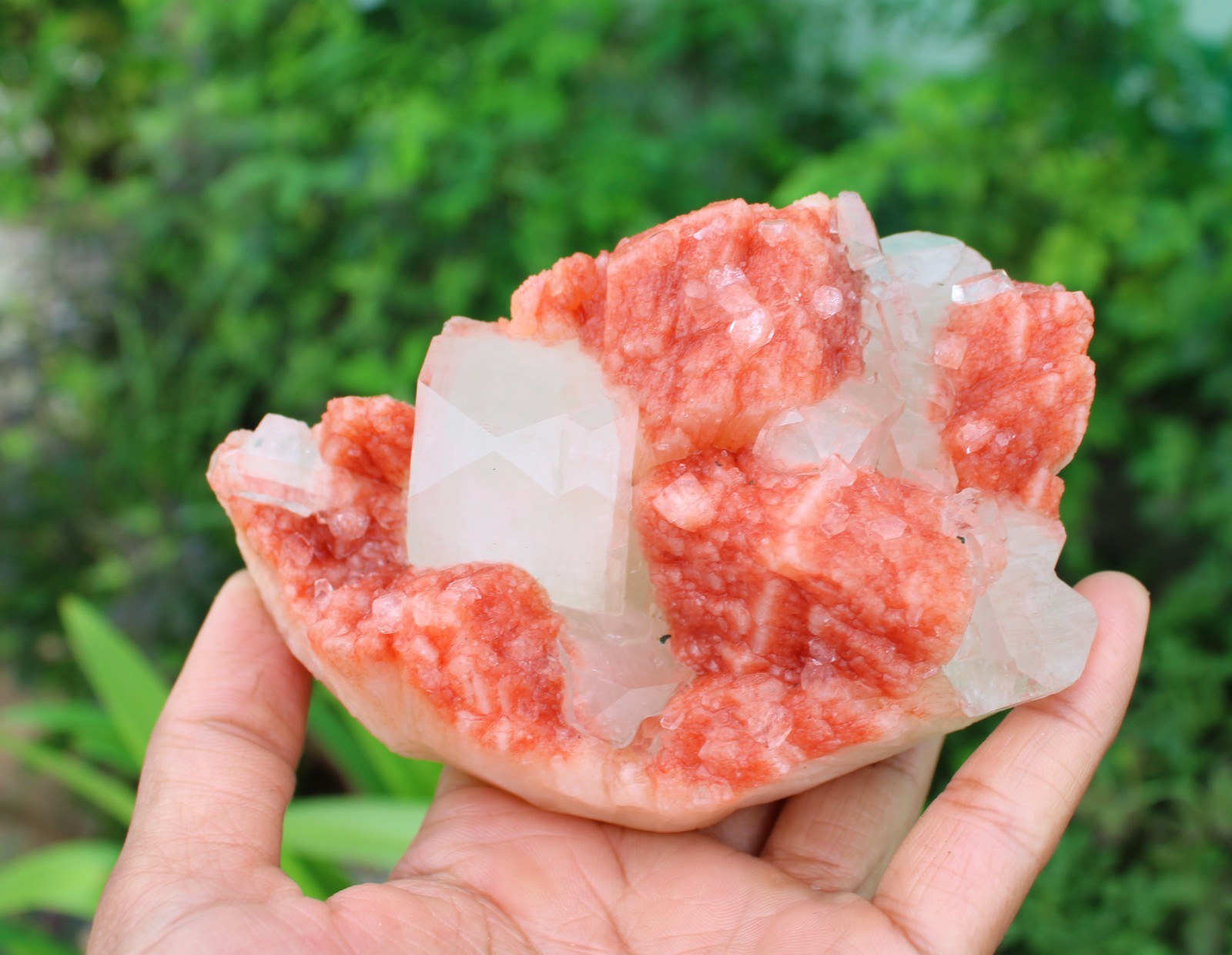 APOPHYLLITE CRYSTAL ON RED STILBITE MATRIX MINERAL SPECIMEN