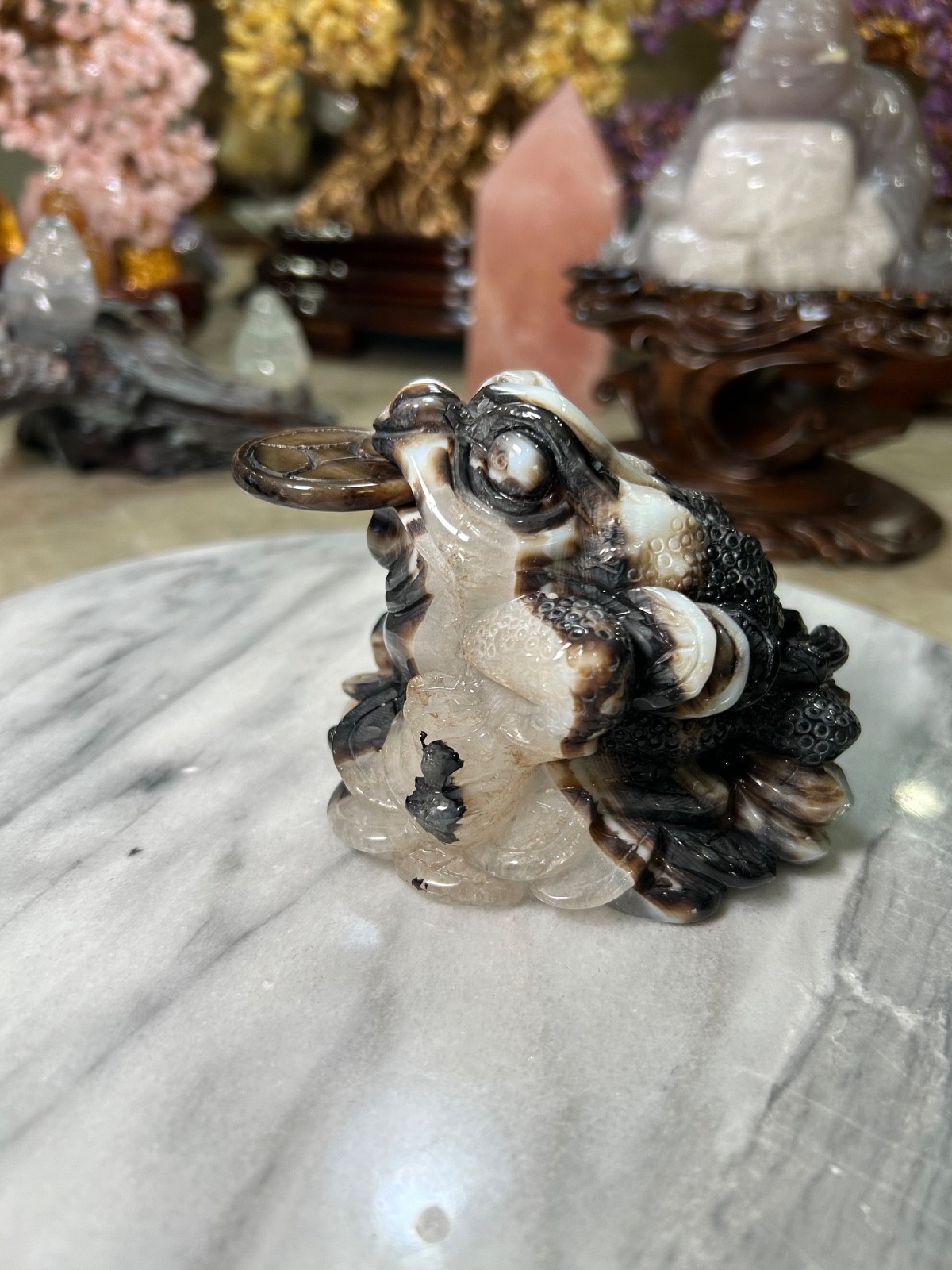 Agate Golden Money Toad Jin Chan with agate coin on sandalwood stand custom
