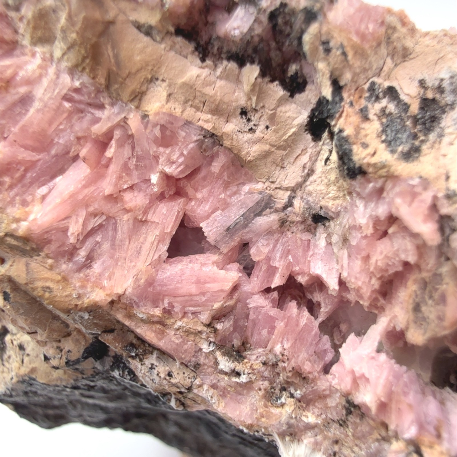 INESITE IN MATRIX FROM HALE CREEK MINE, CALIFORNIA, USA – MINIATURE, 117g