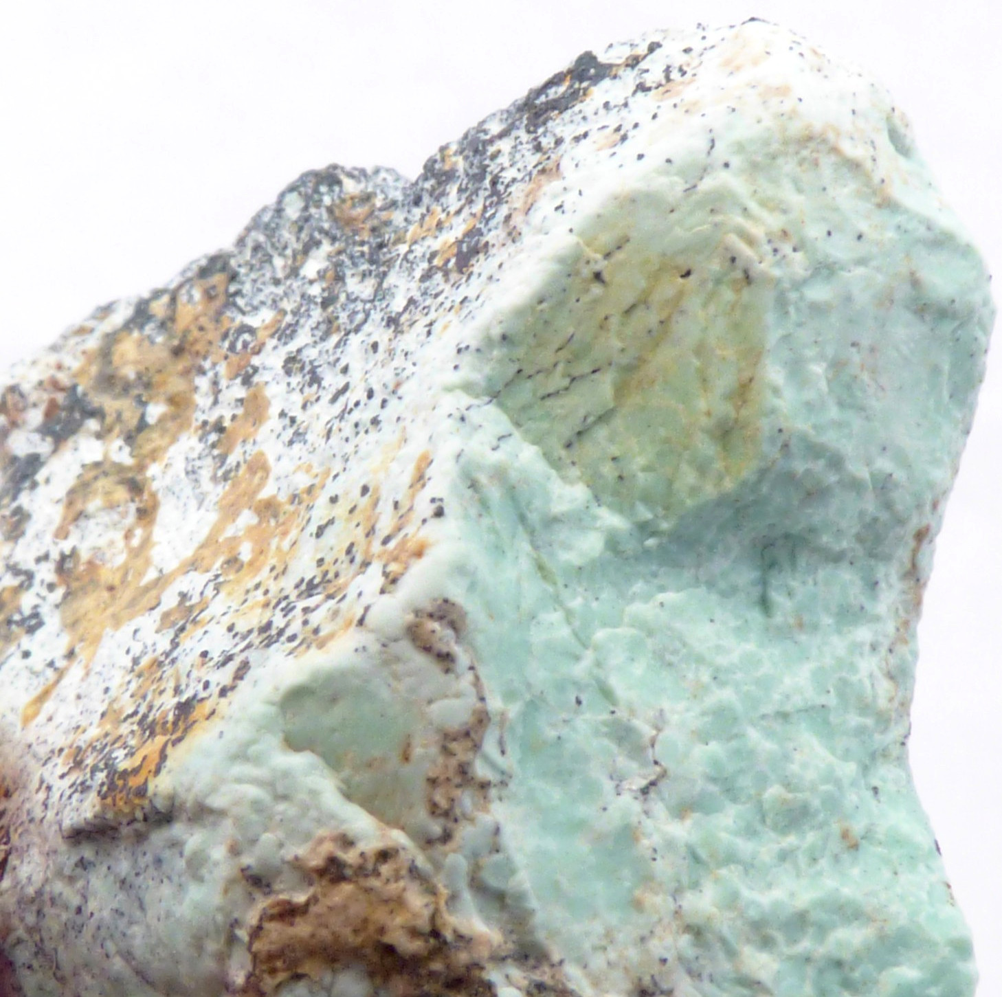 Solid Turquoise Mineral Specimen Island Park Idaho Natural Unpolished 4cm 19g