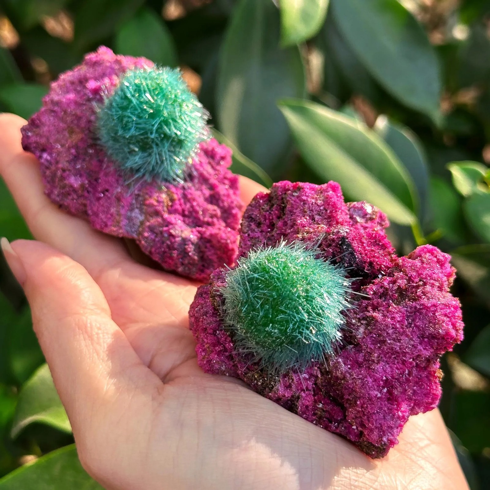 Wholesale Special Ruby Quartz Crystal Mineral Rock Specimen Ideal for Decor