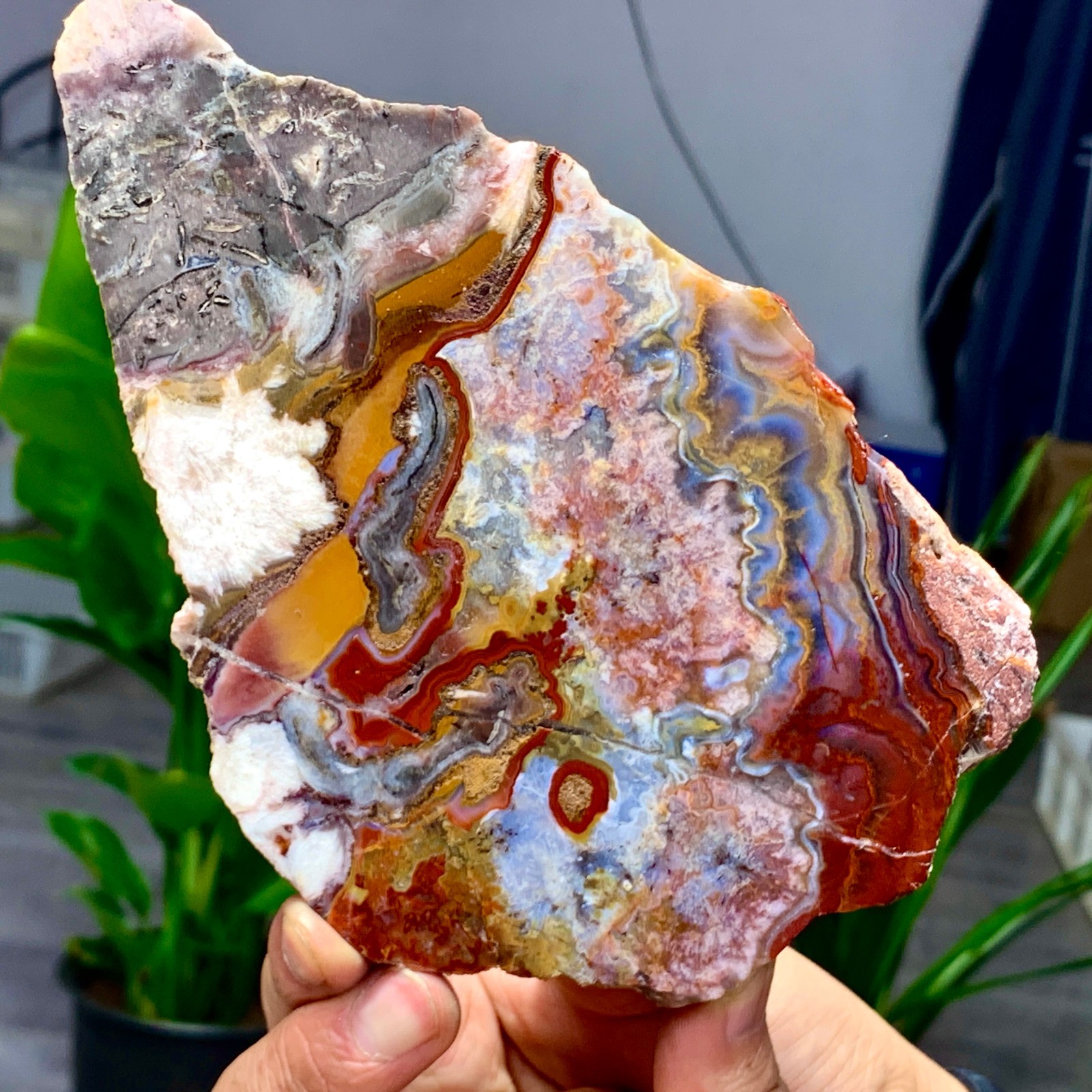 449G Natural Red Crazy Ribbon Lace Agate Crystal Polishing Sheet Mexico Repair