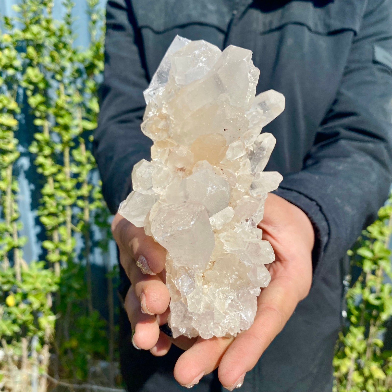 1.21LB Large Natural Clear White Crystal Quartz Cluster Energy Healing Specimen