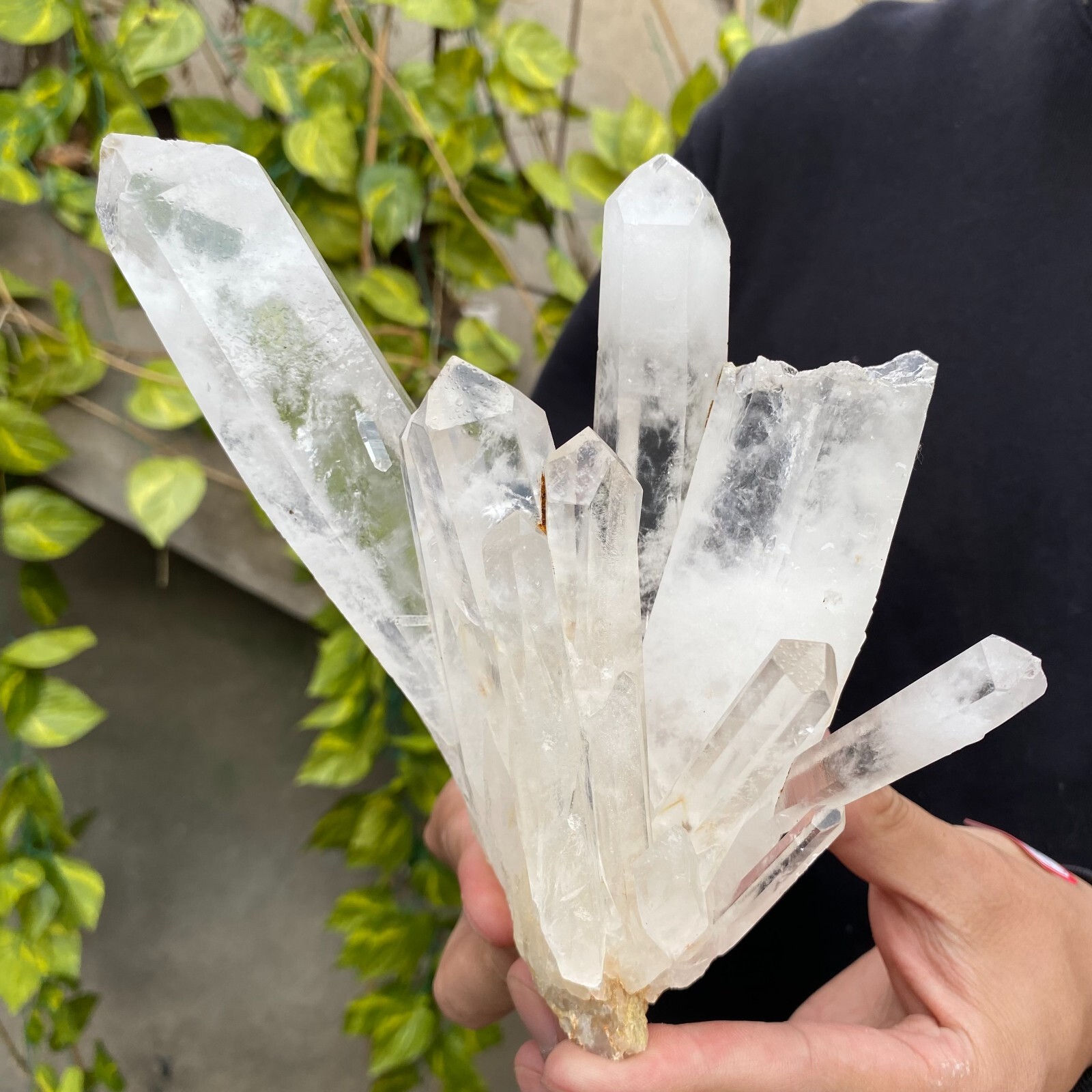 2.3lb Natural Clear White quart Crystal Cluster Raw Healing Specimen