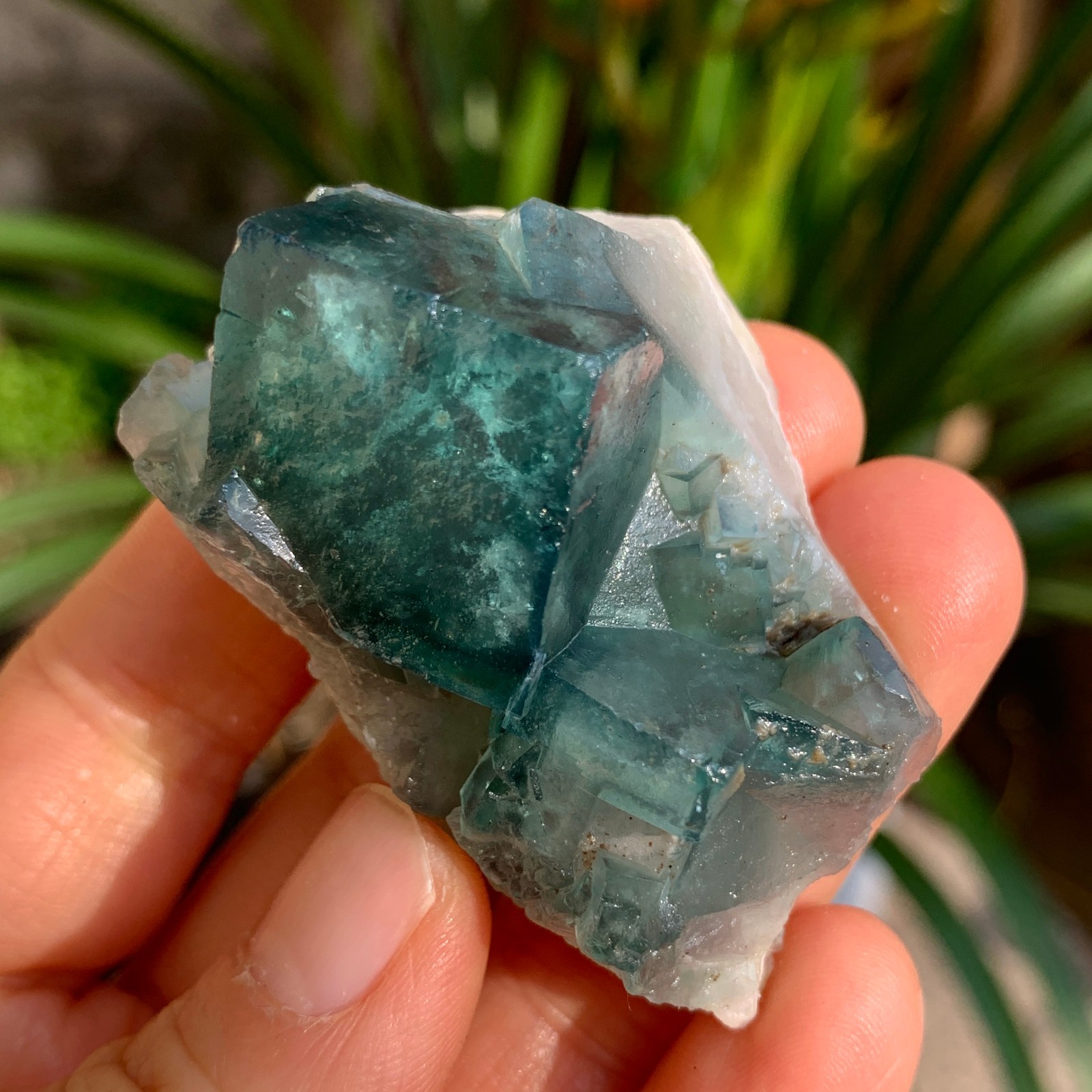 80g Natural beautiful green fluorite mineral specimens healing