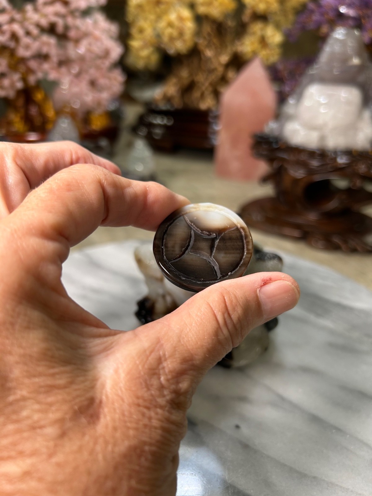 Agate Golden Money Toad Jin Chan with agate coin on sandalwood stand custom