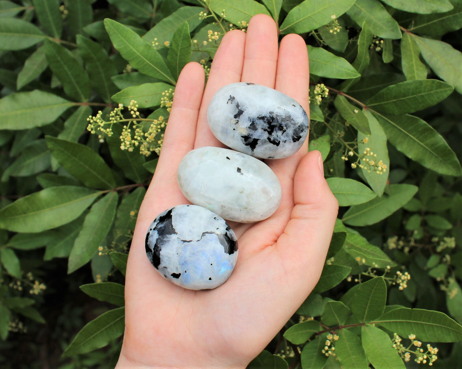 Rainbow Moonstone Palm Stone: Rainbow Moonstone Pebbles, Hand Polished