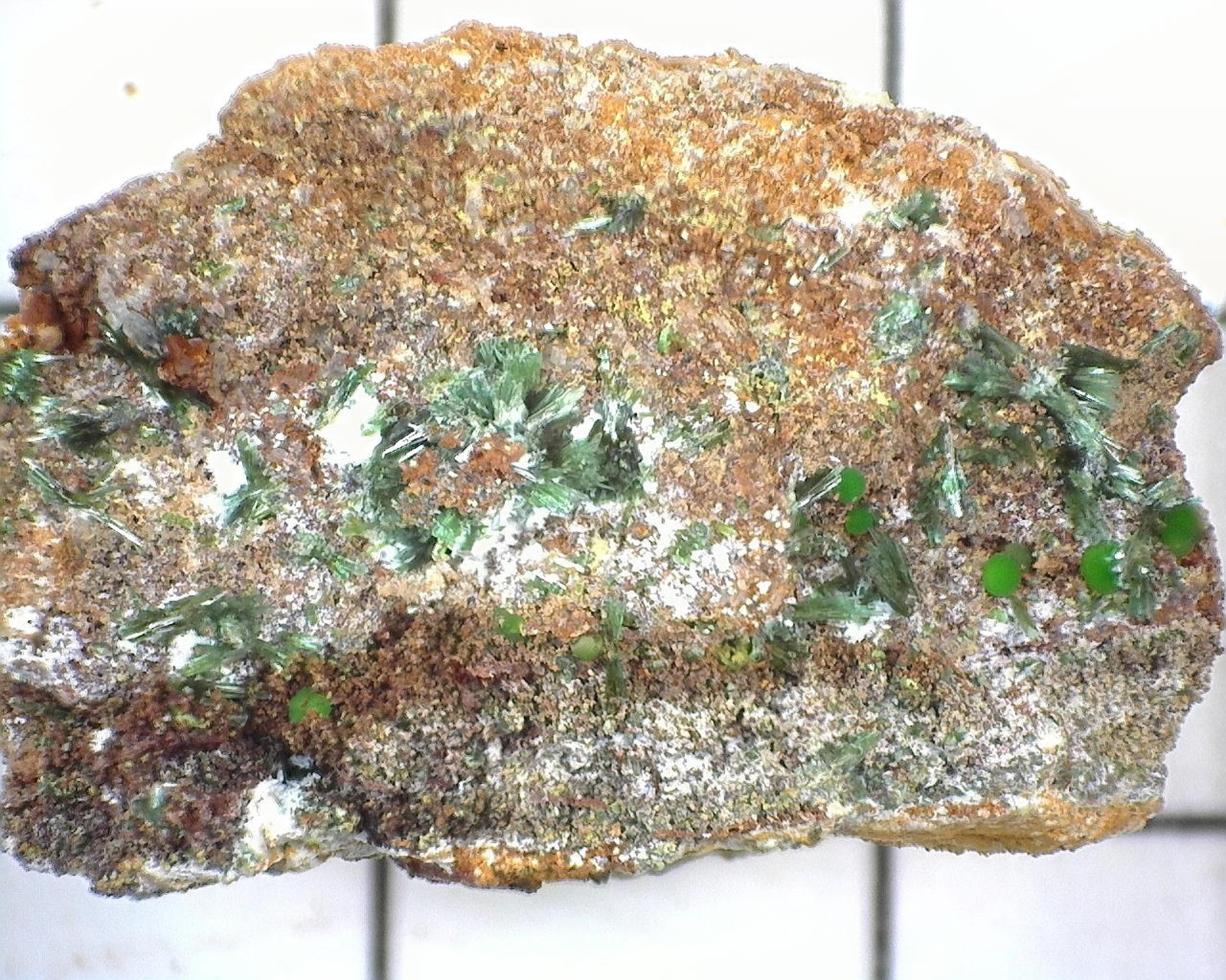 20419 MM Olivenite Conichalcite Lavreotiki East Attica Attica Greece 14187