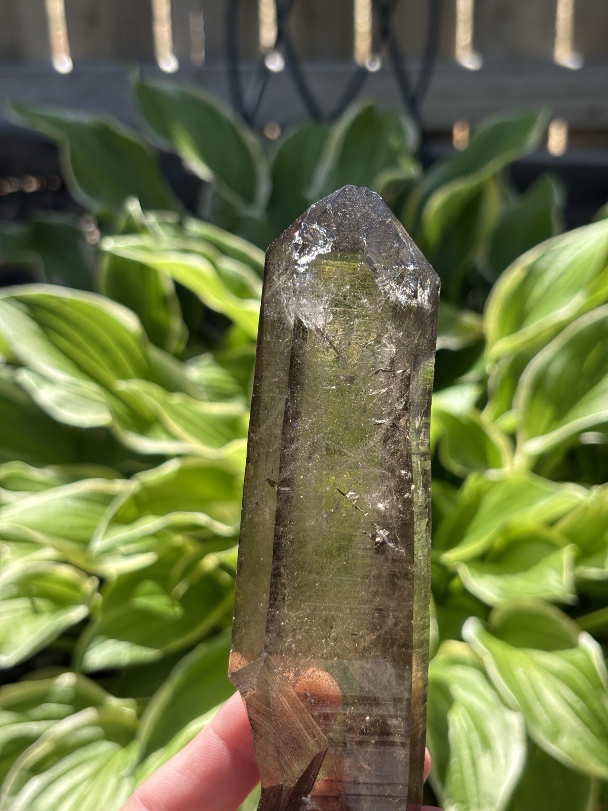 Switzerland Smoky Quartz Natural Point .
