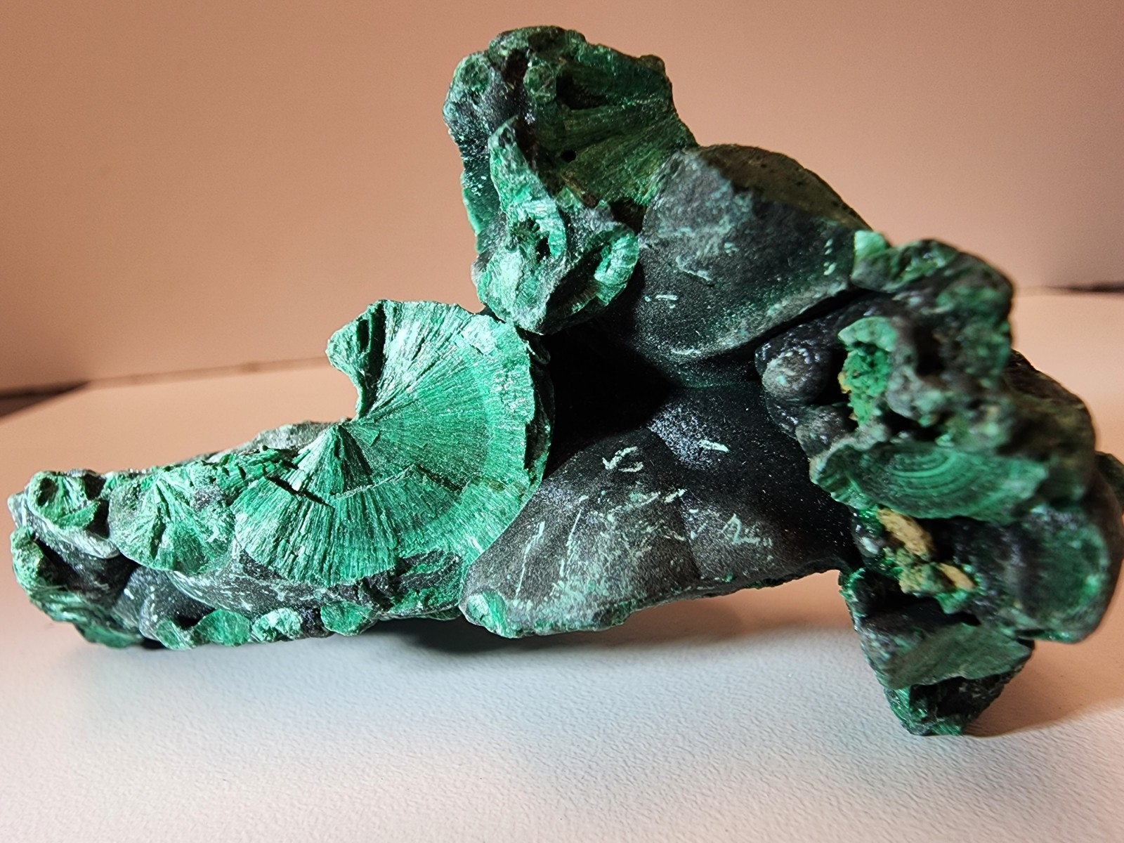 Natural Malachite Crystal Specimen Botryoidal Fan Formation Mineral 3.3″