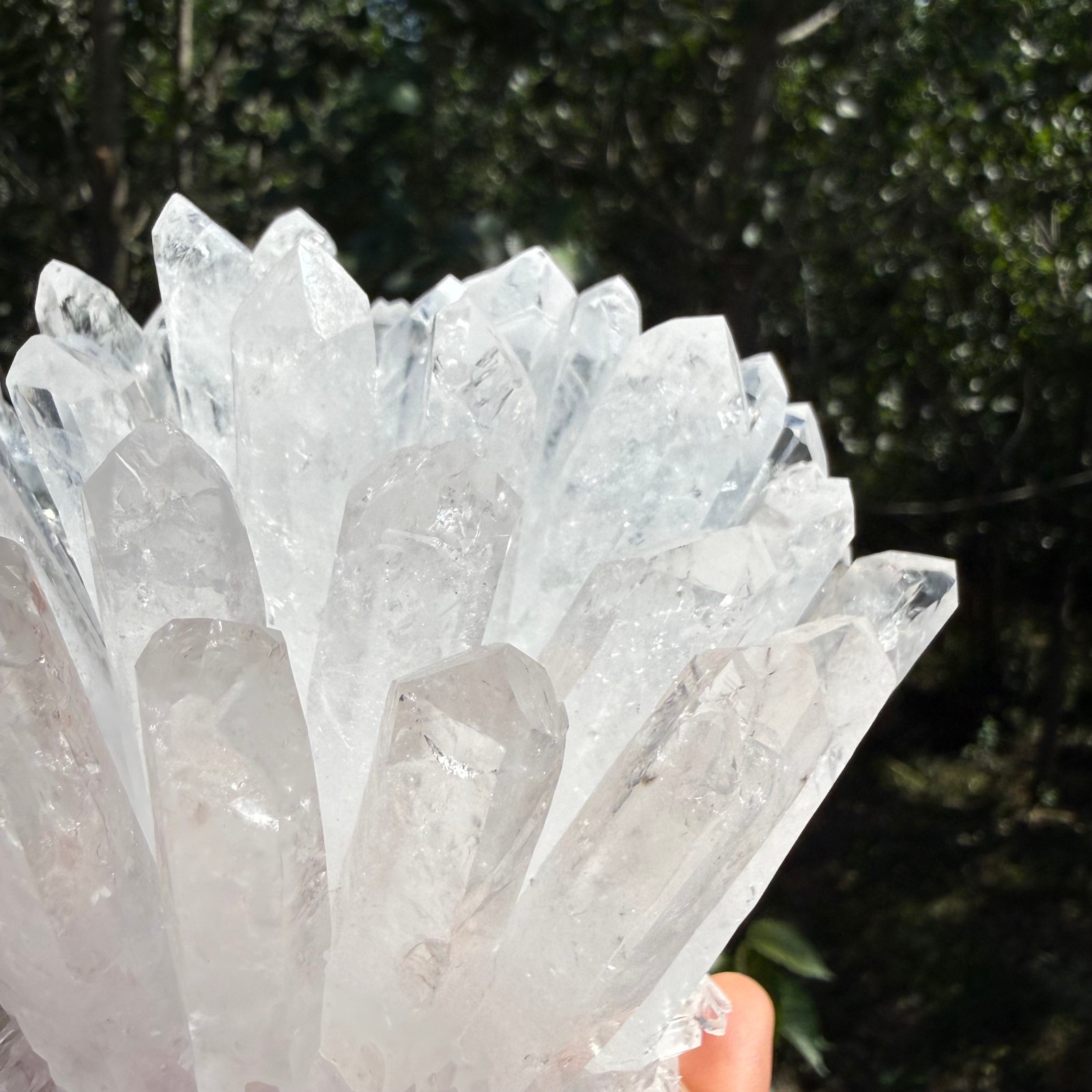 2.2LB Large Natural White Clear Quartz Cluster Crystal Mineral Healing 1pc