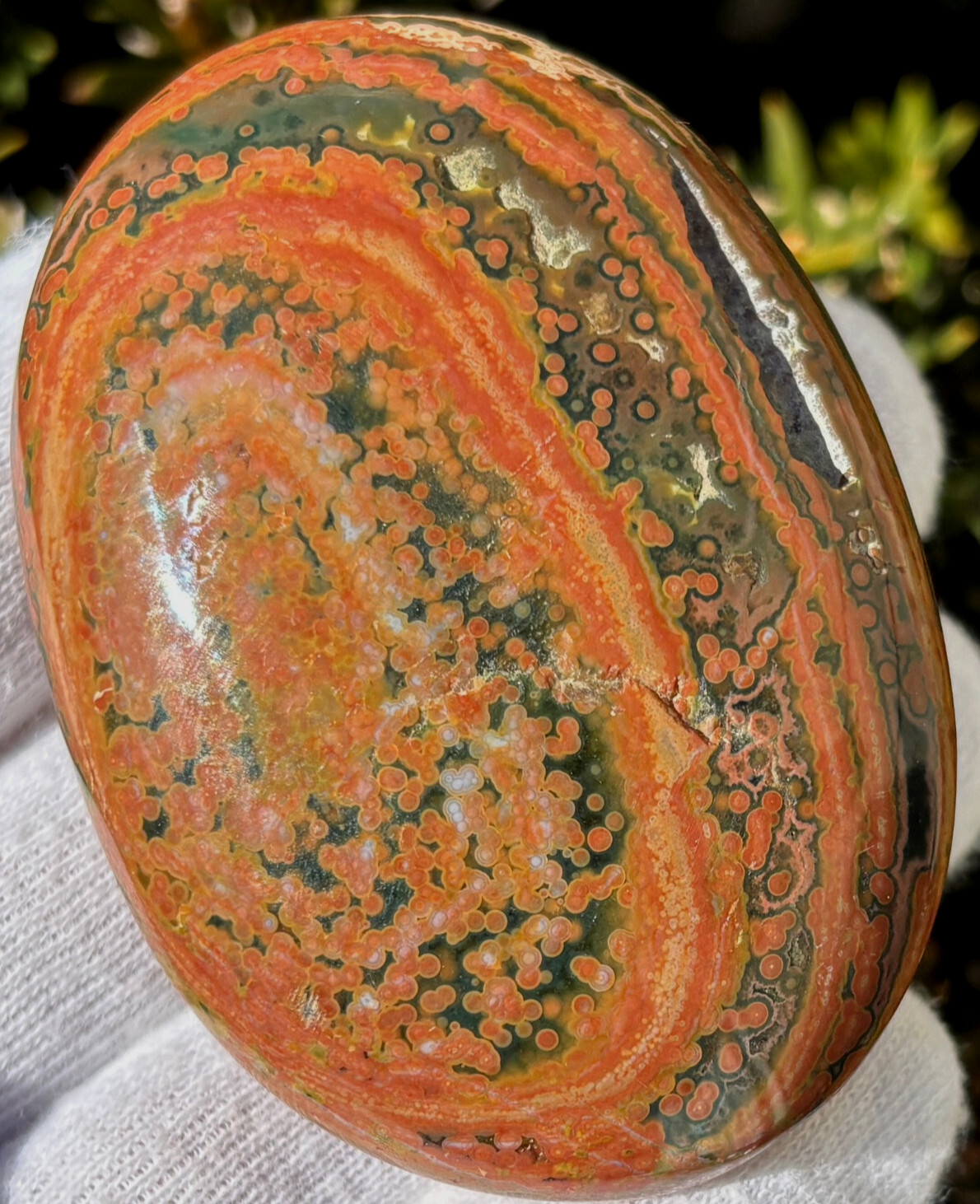 USA SALE 177g LOT OCEAN JASPER OJ PALMSTONES PALM STONE STONES PALMSTONE VIBRANT