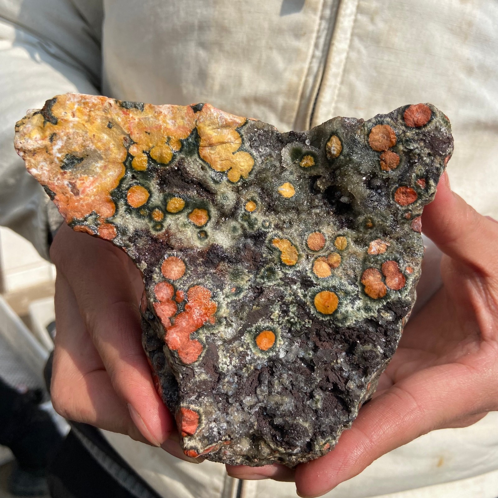 2.2lb Natural colourful ocean jasper raw stone crystal rough mineral specimen