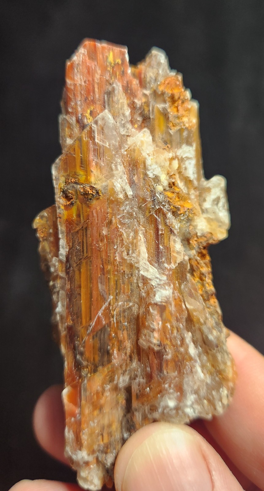 Selenite w/ Jarosite – Lavrion, Greece – Small Cabinet – Yellow Crevasse –