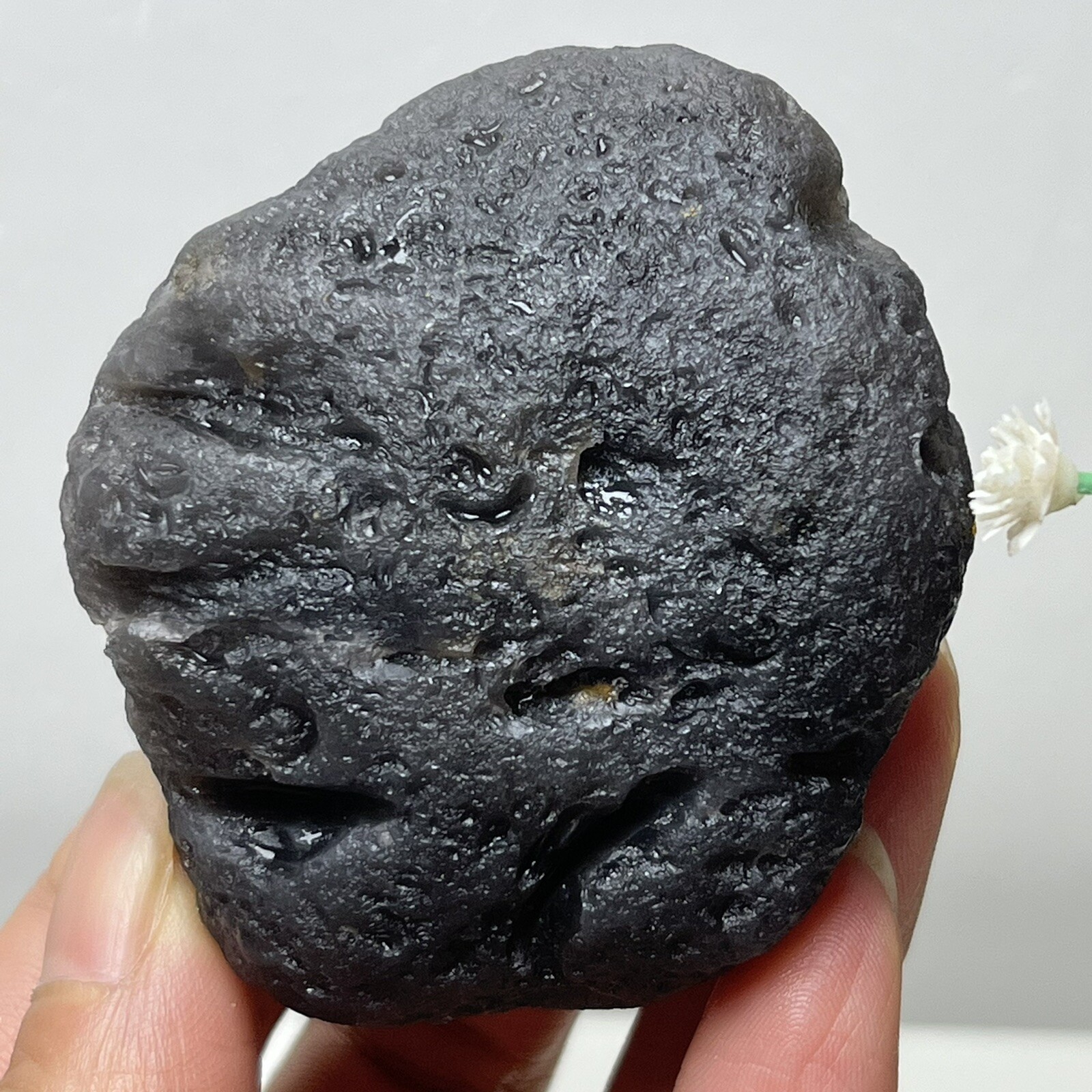 113gNatural Rough Agni Manitite 100% Indonesia Tektite Meteorite a s21
