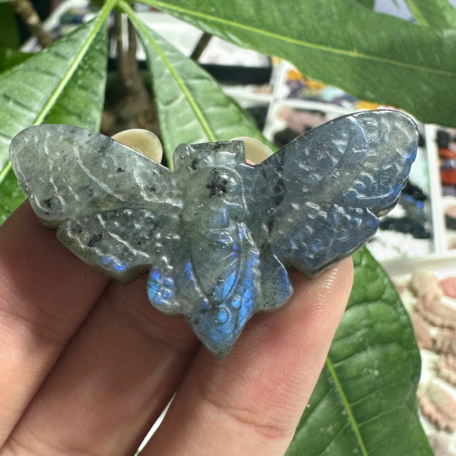 Natural Labradorite Ghost face Moth Specimen Quartz Skull Crystal Reiki Healing