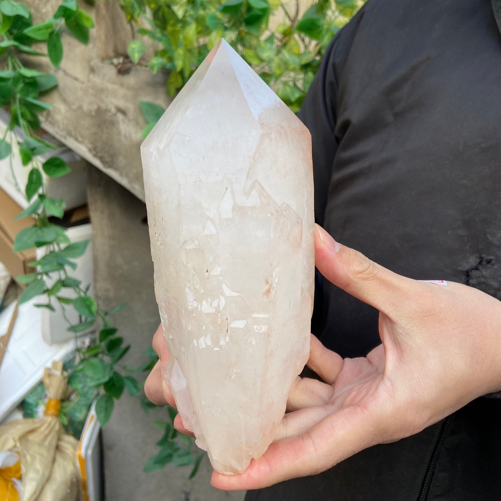3.5lb Natural Clear White Quartz Crystal point Rough Healing Specimen