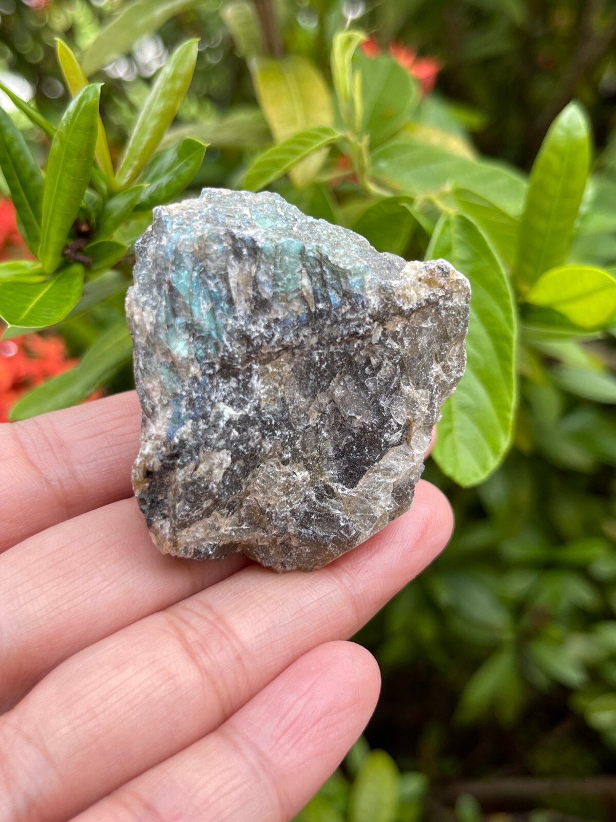 Grade A++ Labradorite Raw Natural Stone, 1″-2″ Rough Labradorite, Wholesale Lot