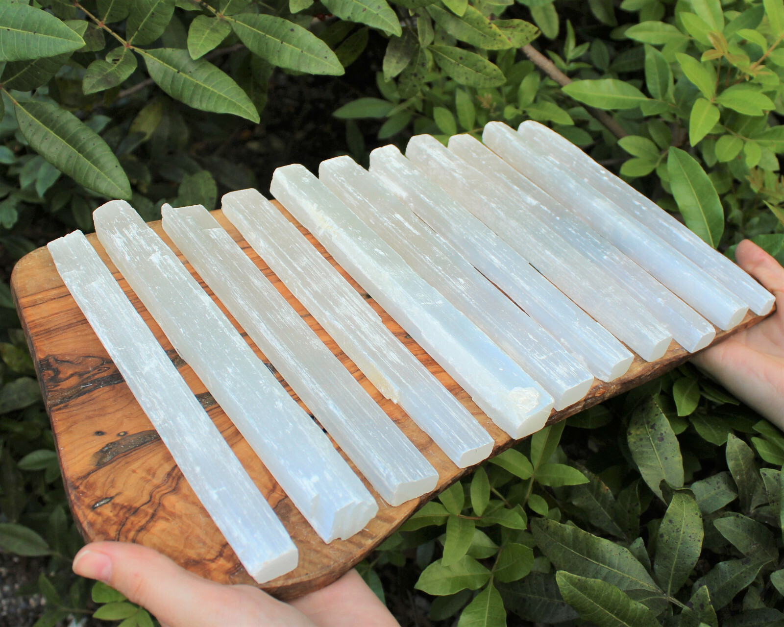 5 x Selenite Sticks, LARGE 7″ – 8″ Wand Rough Crystal Specimen Reiki Chakra