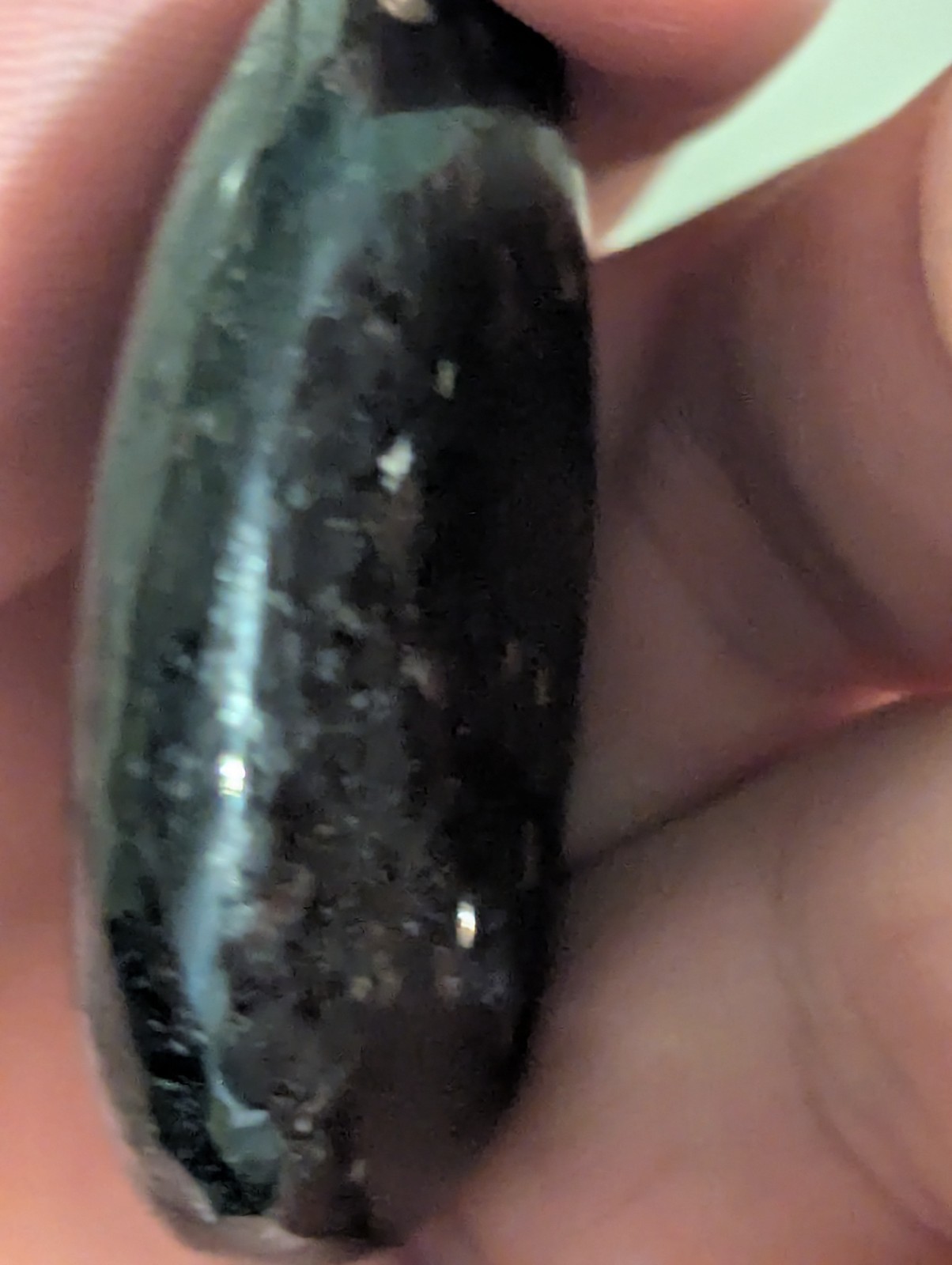 Flat Round Ovular sparkling Palm Stone