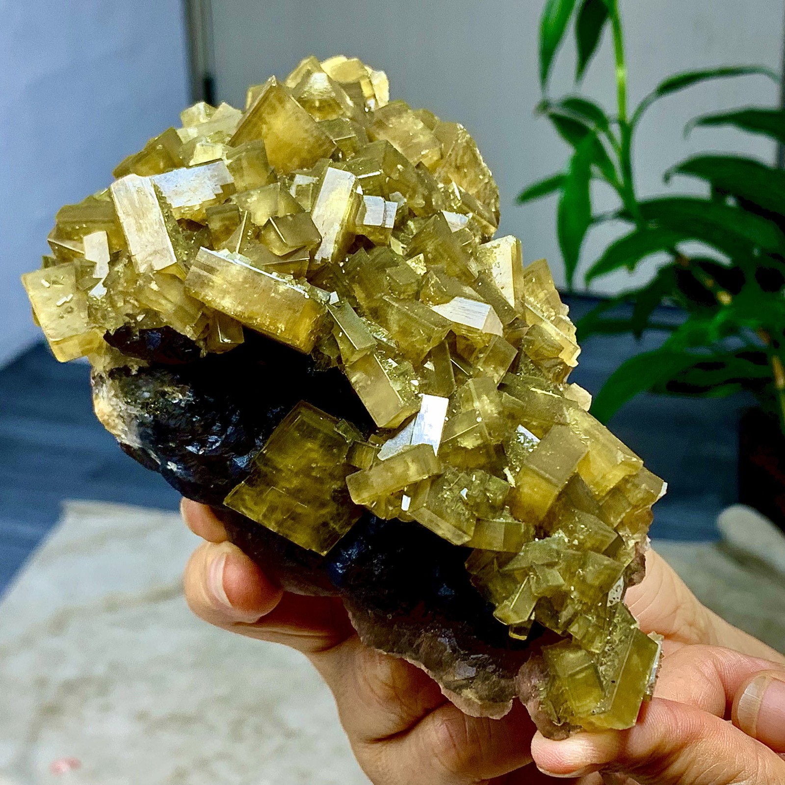 2.36LB Shiny Golden Cuboid Barite Crystal Based on the Purple Spherical Fluorite