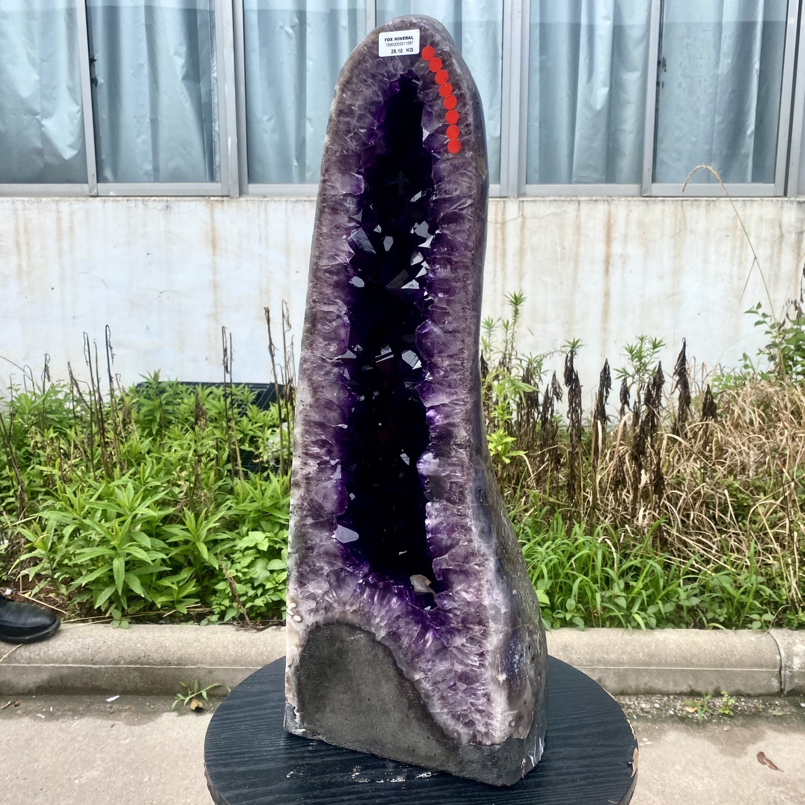 57LB Large Natural Amethyst Geode Cathedral Crystal Cluster Specimen Healing