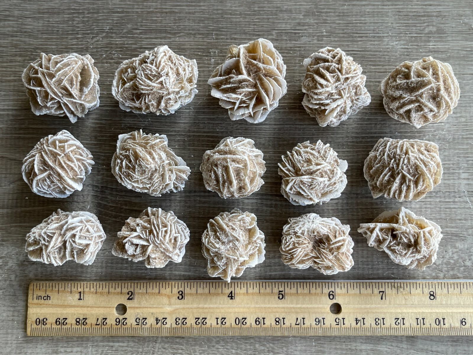 Desert Rose Selenite, 1.25-1.75 Inch Desert Gypsum Rose, Wholesale Bulk Lot