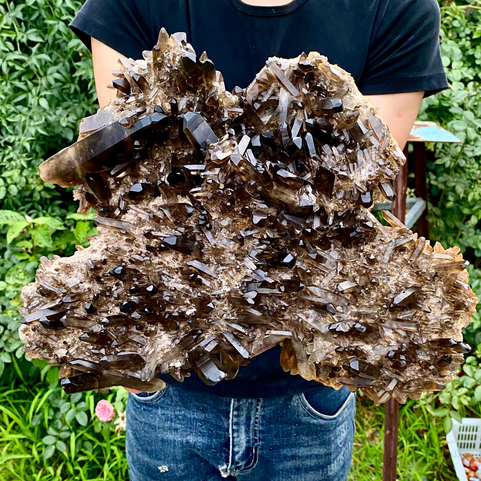 10.8LB Natural Tea black Crystal quartz Cluster Mineral Specimen Healing reiki