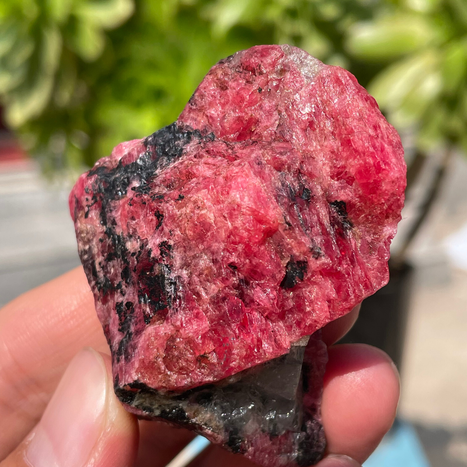 91g Small Rough Stone Natural Red Black Rhodonite Quartz Crystal Specimen