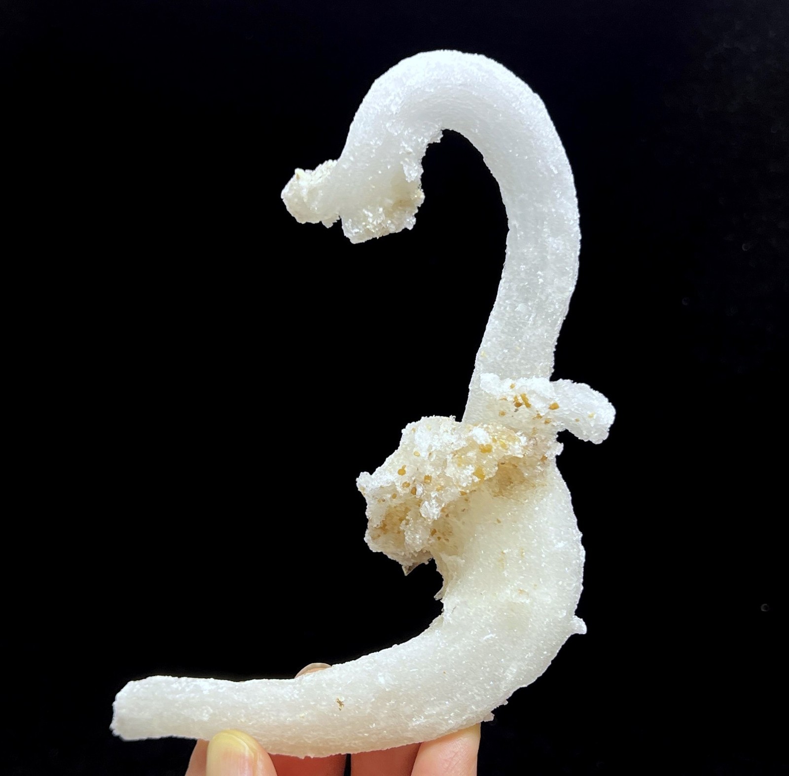 152mm Sparkling POWERFUL ‘Ram’s Horn’ shape Selenite (Gypsum), Natural Mineral