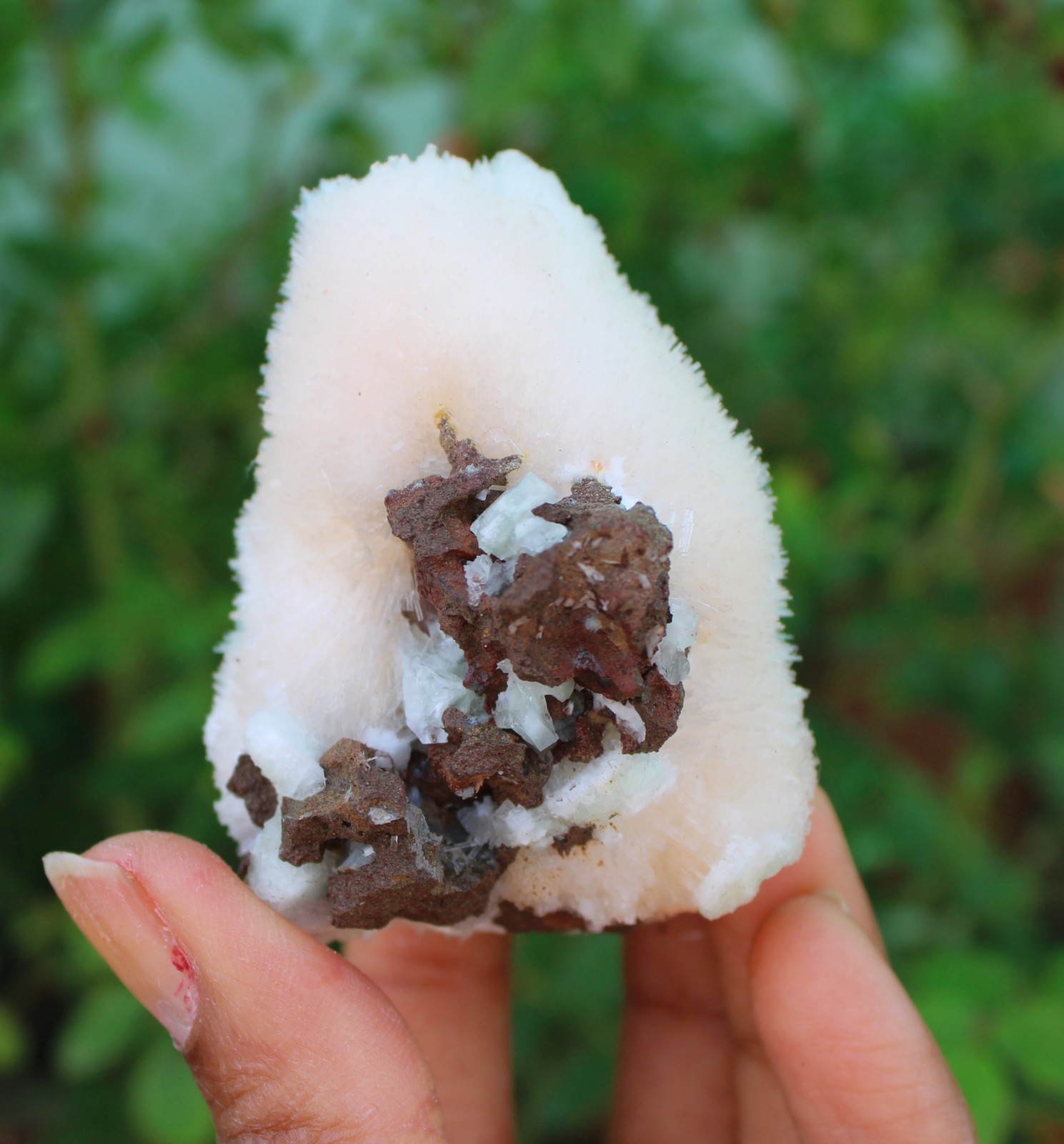 SCOLECITE ON MATRIX MINERALS SPECIMEN