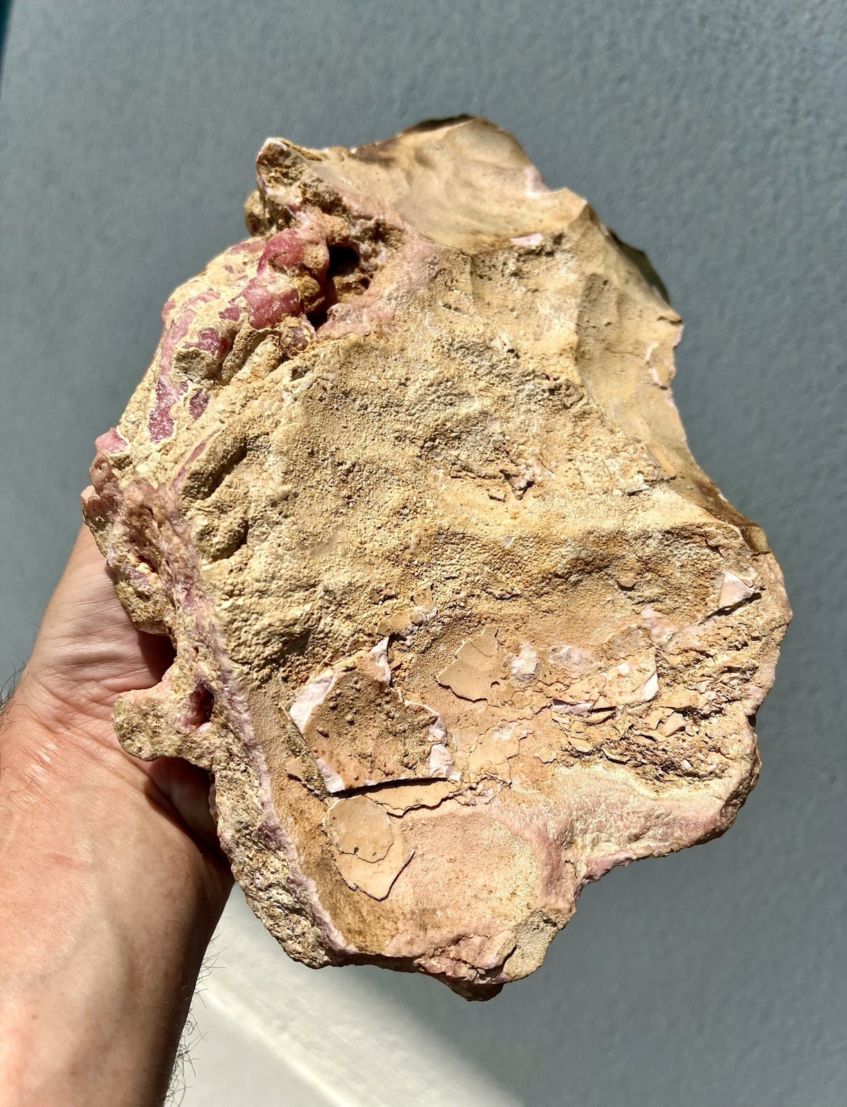 6.8 Pound: Rhodochrosite Stalactite Cluster Massive Ortiz, Capillitas, Argentina