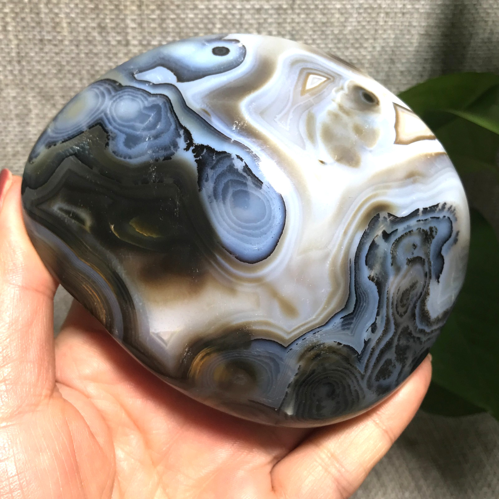 376g Natural Aquatic Plants Agate Ink landscape painting ornament Madagascar 23
