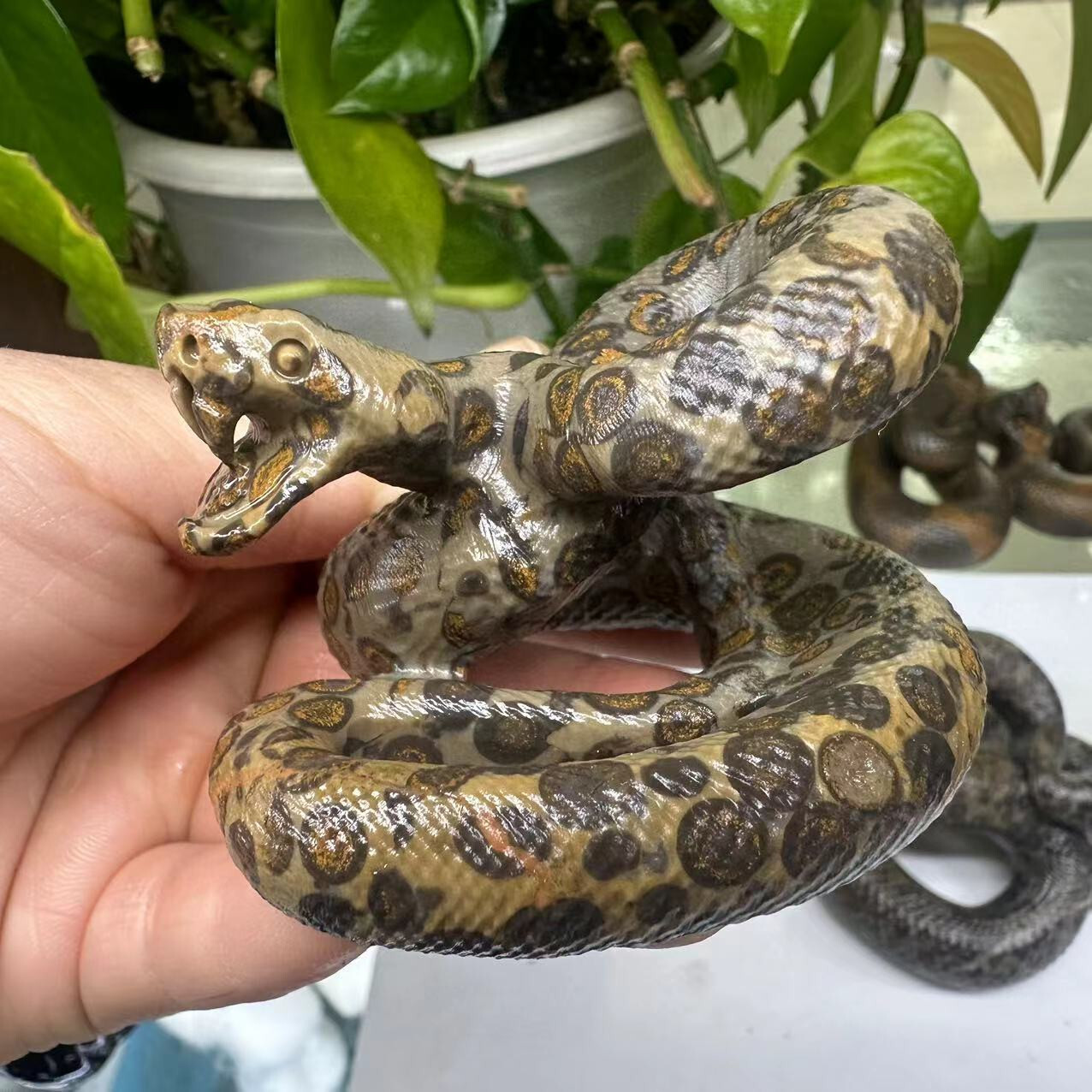 1pc Natural Quartz hand carved snake Crystal reiki healing decor gift