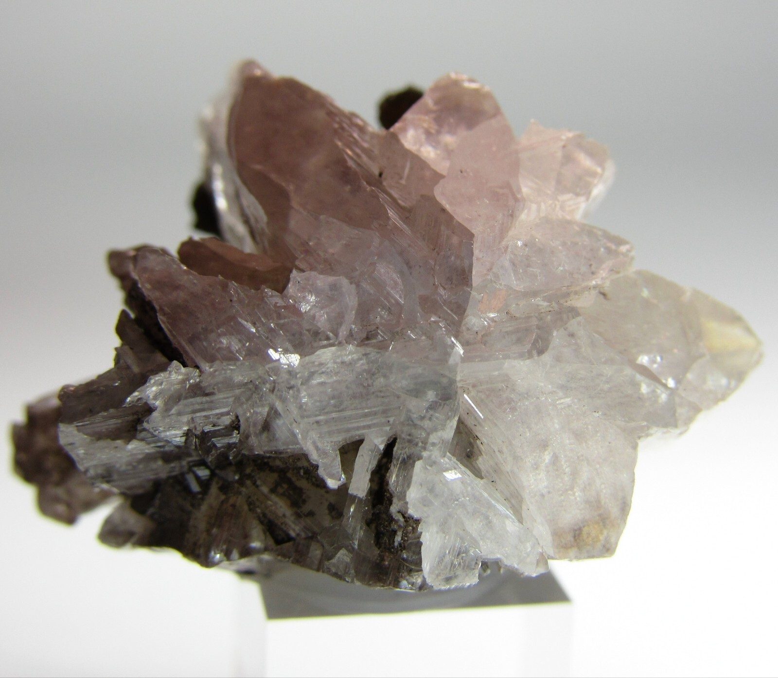MAGNIFICENT STAR SHAPE CERUSSITE SIXLING CRYSTAL!!! TSUMEB MINE NAMIBIA