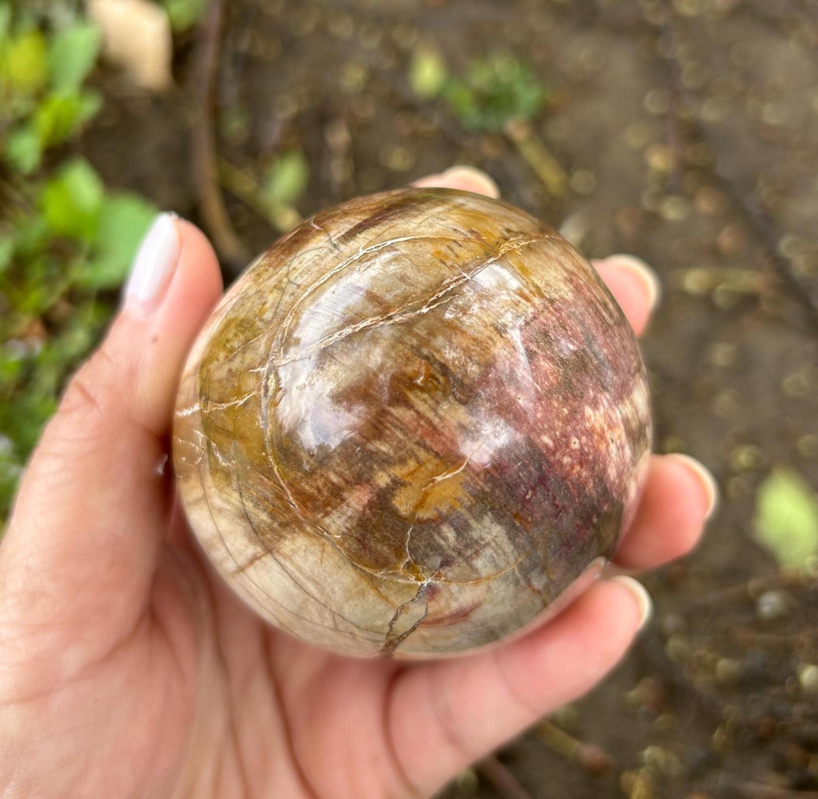 1.9″0.3lb Cute Natural Crystal Wood Fossil Egg Polished Quartz Home Office Decor