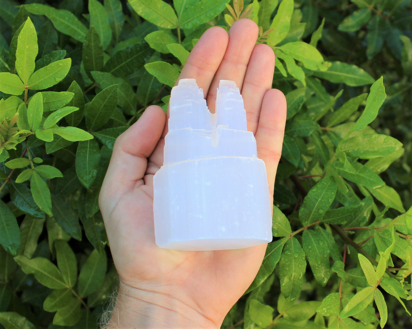 Selenite Crystal Twin Tower (Selenite Skyscraper, Point, Gypsum Crystal)